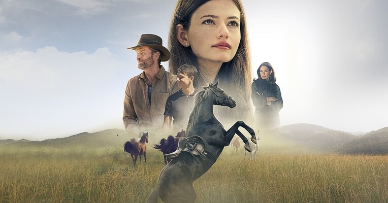 زیبای سیاه - پس‌زمینه