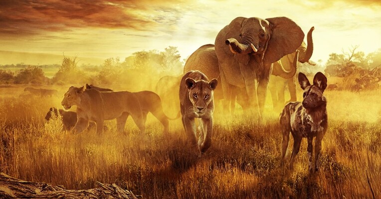 نجات از بهشت: یک داستان خانوادگی - پس‌زمینه