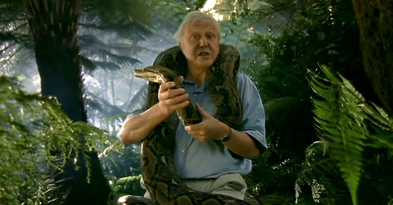 مستند حیوانات استثنایی: مار - پس‌زمینه