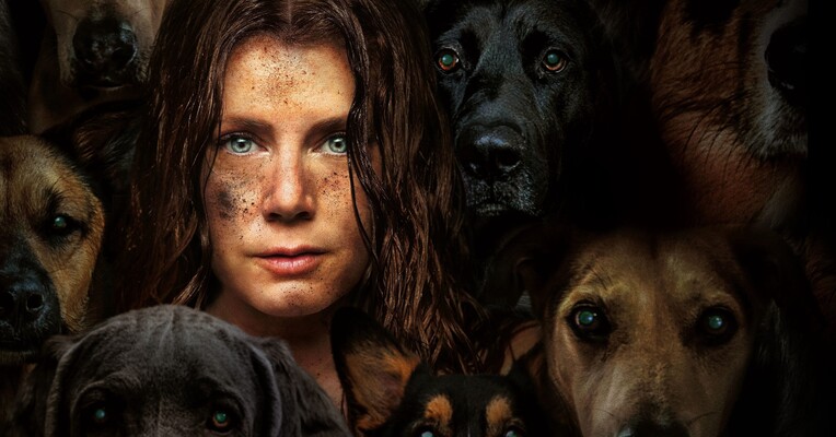 سگ شبانه - پس‌زمینه