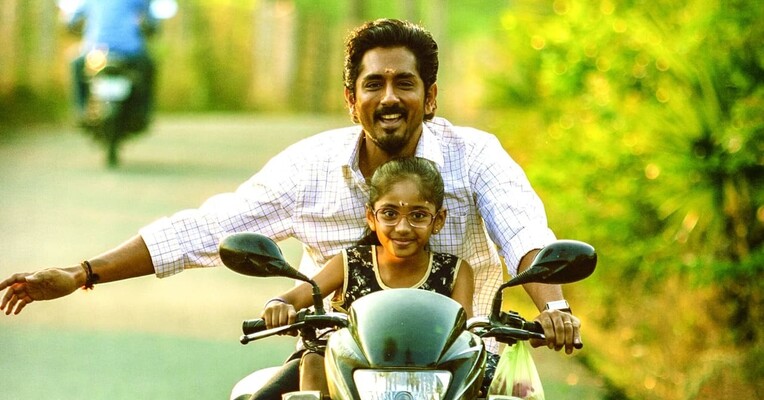 چیتا - پس‌زمینه