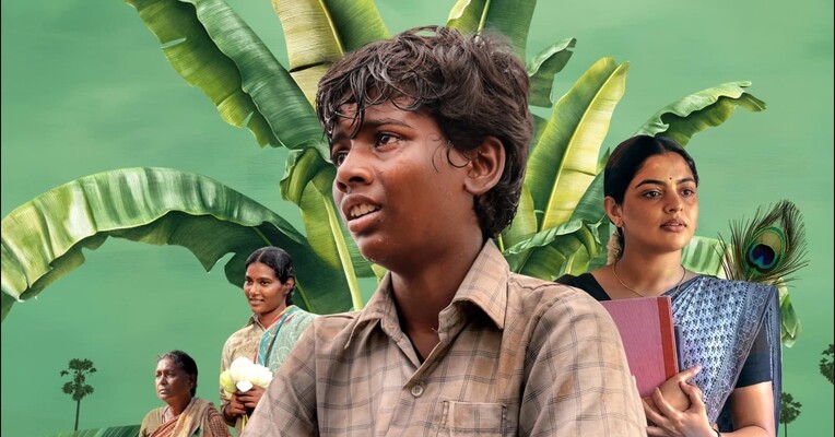 سایه نخل - پس‌زمینه