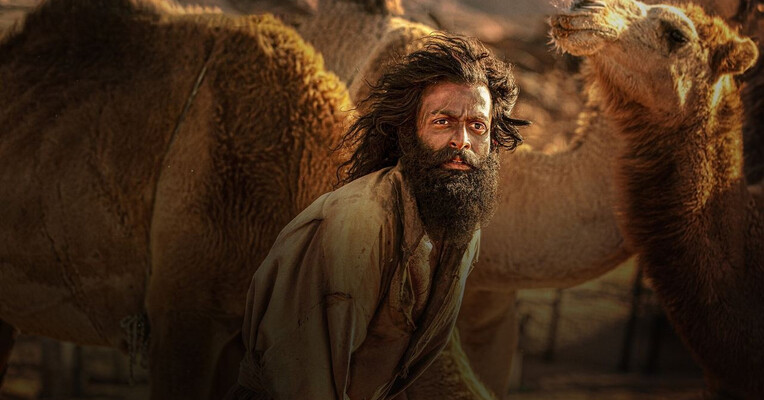 زندگی بزی - پس‌زمینه