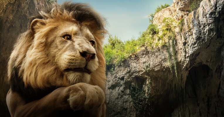 جادوگر شهر زمرد: راه جاده زرد - پس‌زمینه