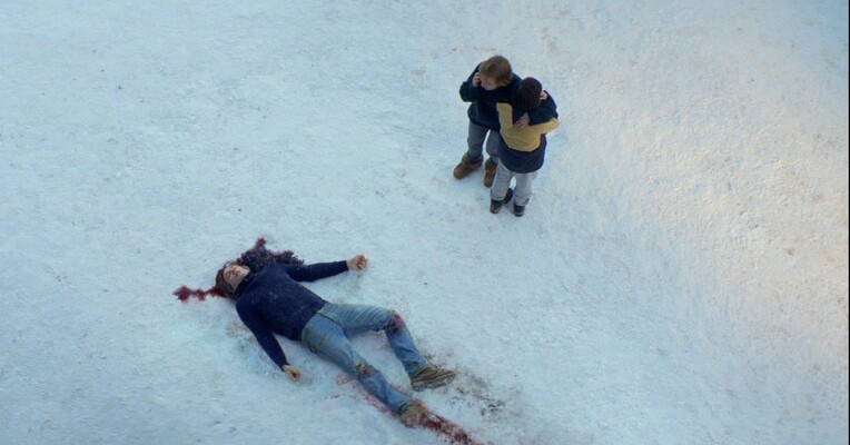 آناتومی یک سقوط - پس‌زمینه