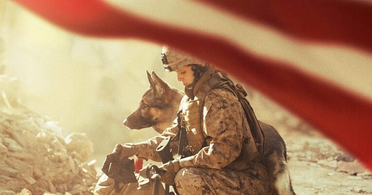 مگان لوی - پس‌زمینه