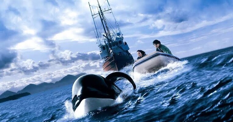 نهنگ آزاد ۳: نجات - پس‌زمینه