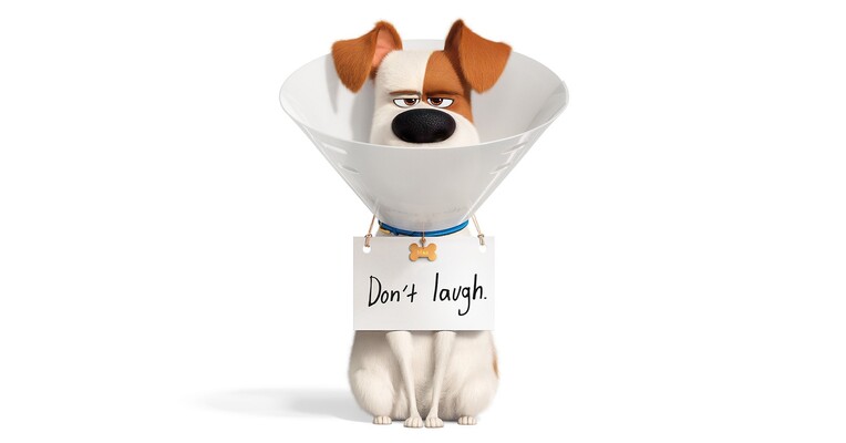 زندگی مخفی حیوانات خانگی ۲ - پس‌زمینه