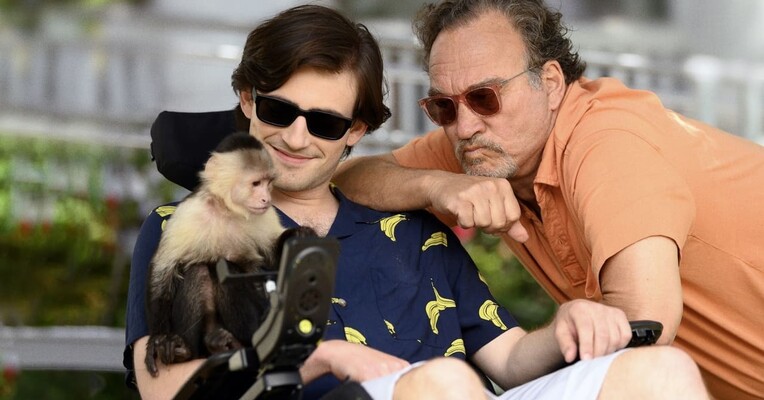 جیجی و نیت - پس‌زمینه