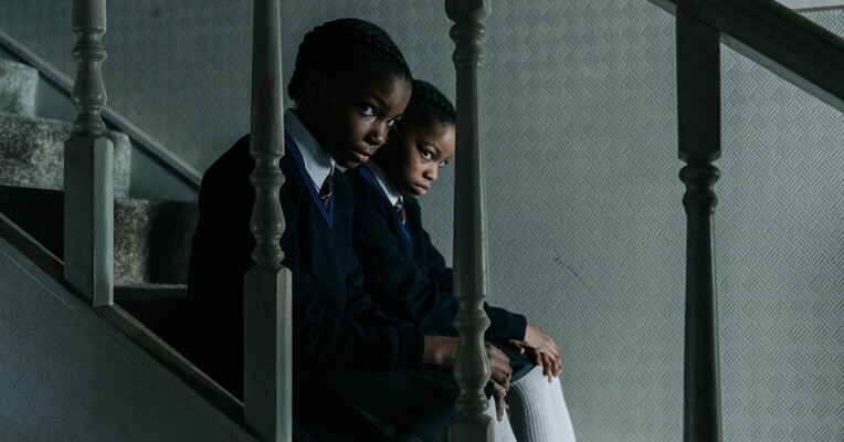 دوقلوهای خاموش - پس‌زمینه