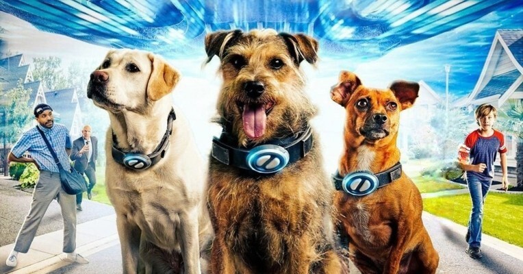 هاپوهای فضایی - پس‌زمینه