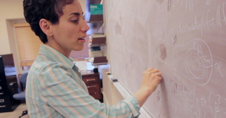 مریم میرزاخانی - پس‌زمینه