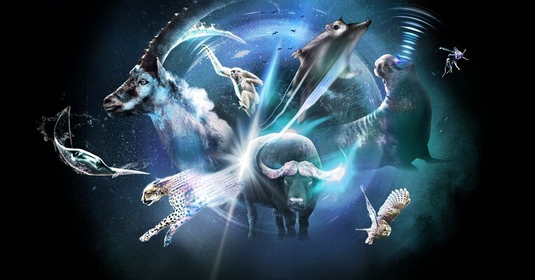 فوق طبیعی - پس‌زمینه