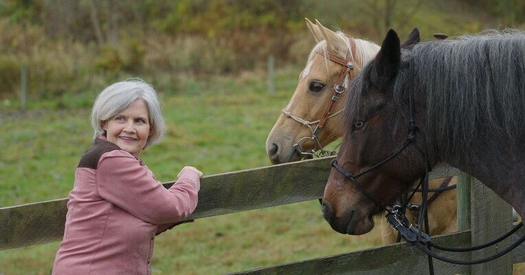 ادلاین - پس‌زمینه