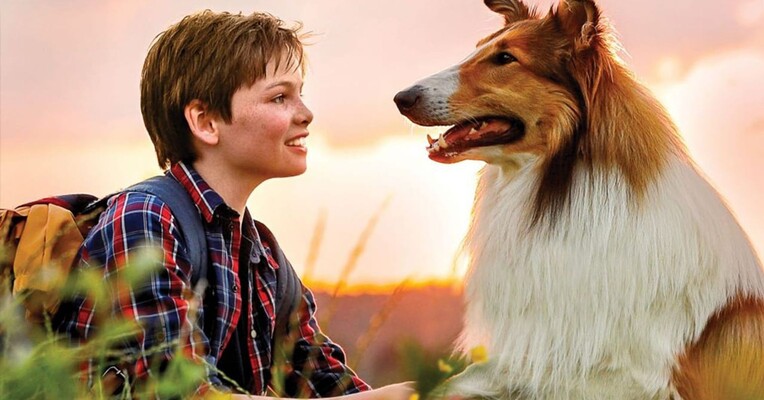 لسی بیا خونه - پس‌زمینه