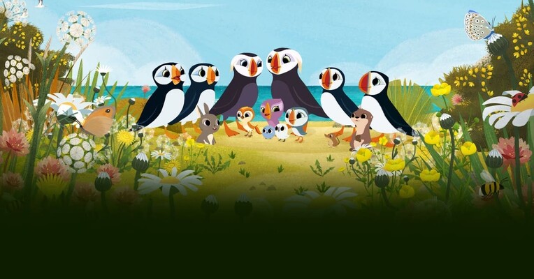 صخره پافین ها - پس‌زمینه