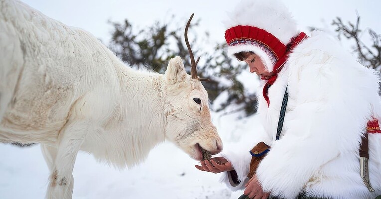 دزدیده شده - پس‌زمینه