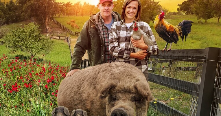 بزرگترین مزرعه کوچک: بازگشت - پس‌زمینه