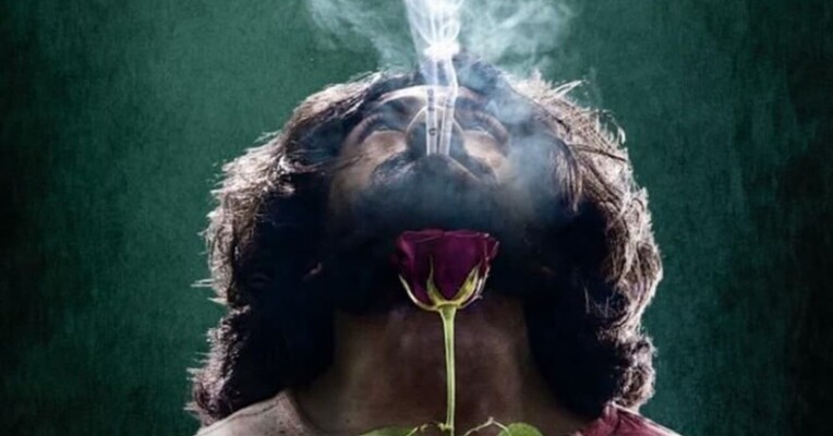 سیدارت روی - پس‌زمینه