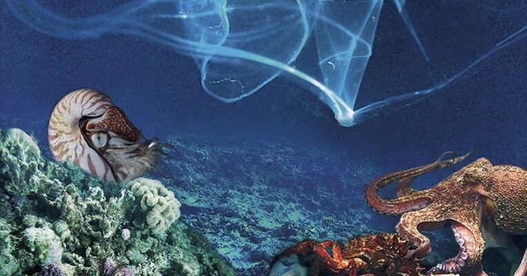 منشا زندگی - پس‌زمینه