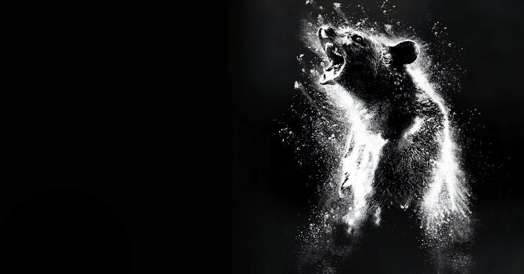 خرس کوکائینی - پس‌زمینه
