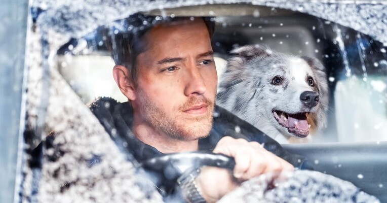 دفترچه خاطرات نوئل - پس‌زمینه