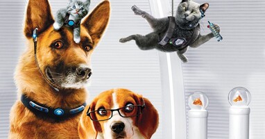  تصویر گربه ها و سگها 2