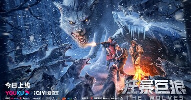  تصویر گرگ‌ ها