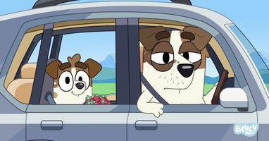  تصویر بلویی