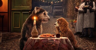  تصویر بانو و ولگرد