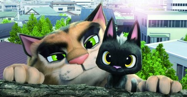  تصویر رودلف گربه سیاه