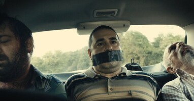  تصویر گربه های سیاه