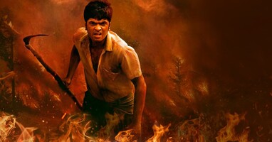  تصویر جنگل سوخته