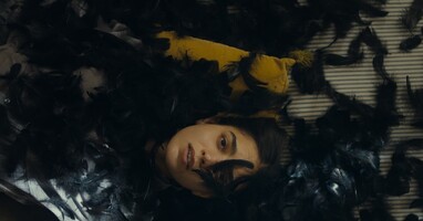  تصویر تمام دنیا خواب است