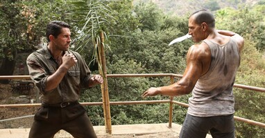  تصویر سگ وحشی