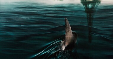  تصویر زیر پاریس