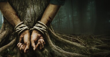  تصویر پارس: ندای وحشت