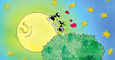  تصویر مورچه ها