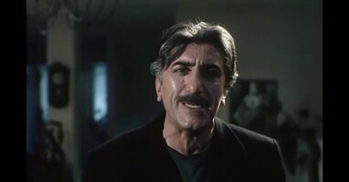  تصویر سگ کشی