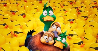  تصویر مهاجرت