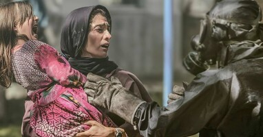  تصویر درخت گردو