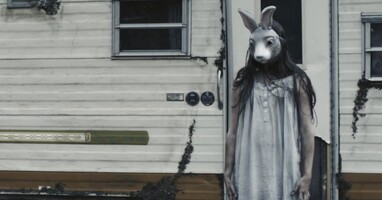  تصویر جنگل خاکستری