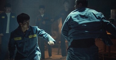  تصویر کوسه: آغاز