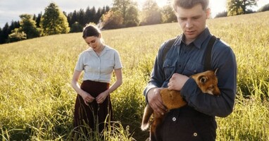  تصویر روباه