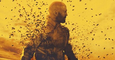  تصویر زنبوردار