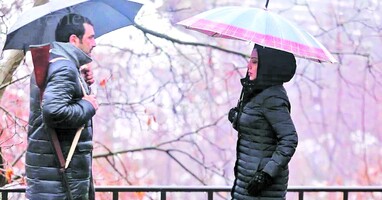  تصویر نازلی