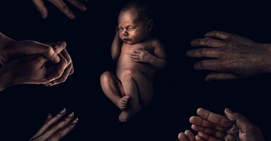  تصویر جزر و مد پادشاه