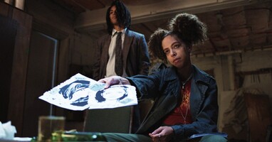  تصویر موش زمستان خواب