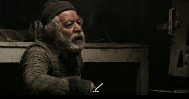  تصویر دایان