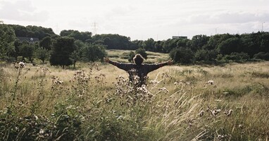  تصویر پرنده